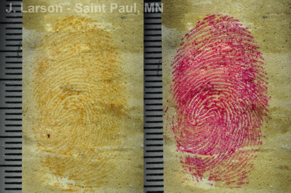 Close-Up Before and After Comparison Enhanced Blood Print